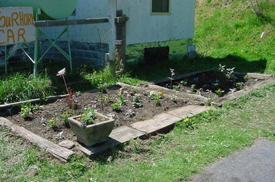 flowerbed
