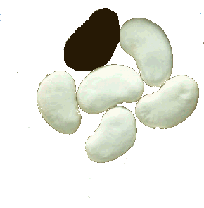 limas