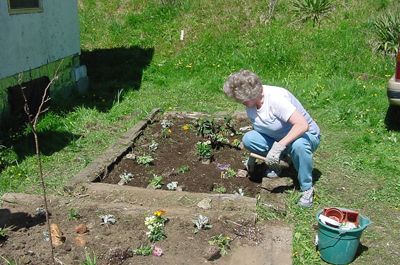 flowerbed